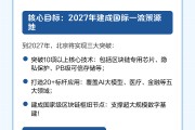 区块链能用芯片代替吗为什么，区块链能用芯片代替吗